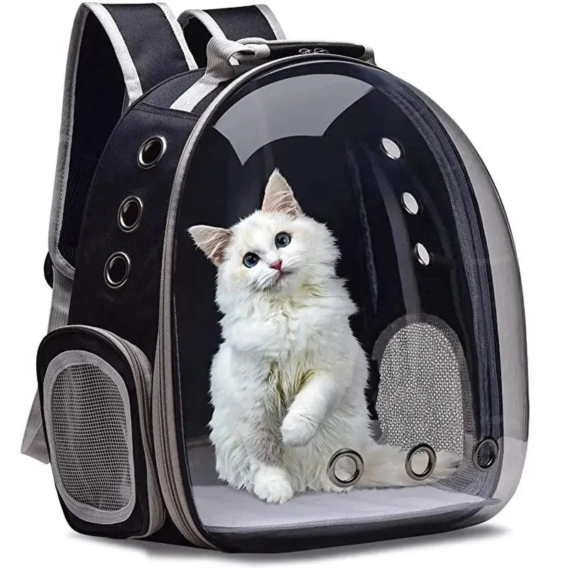 Cat Back Capsule