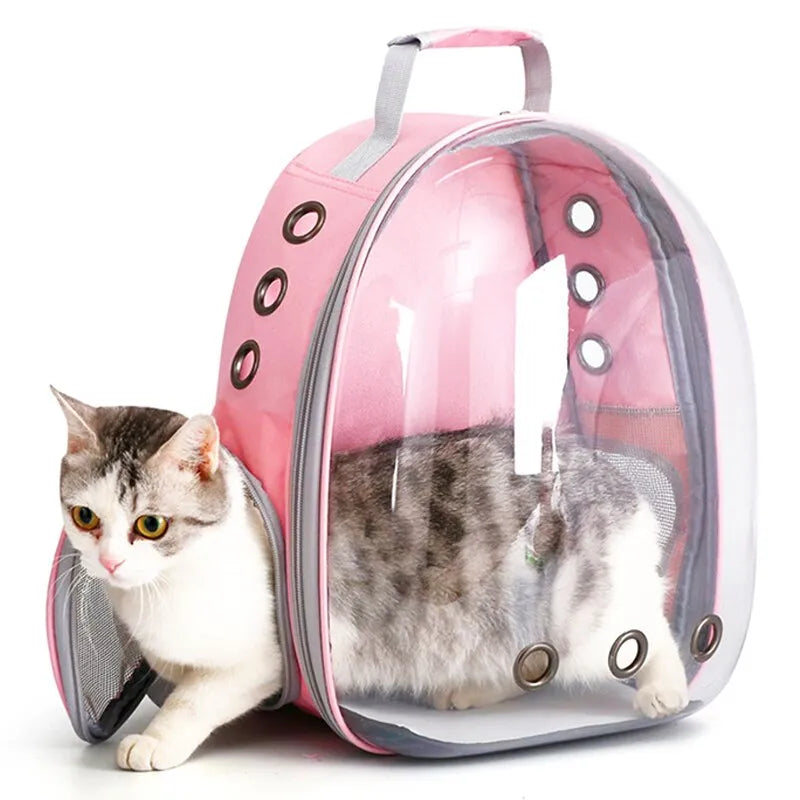 Cat Back Capsule